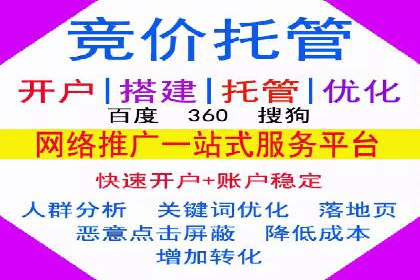 某某SEM团队成功提升网站流量与转化率的实战经验